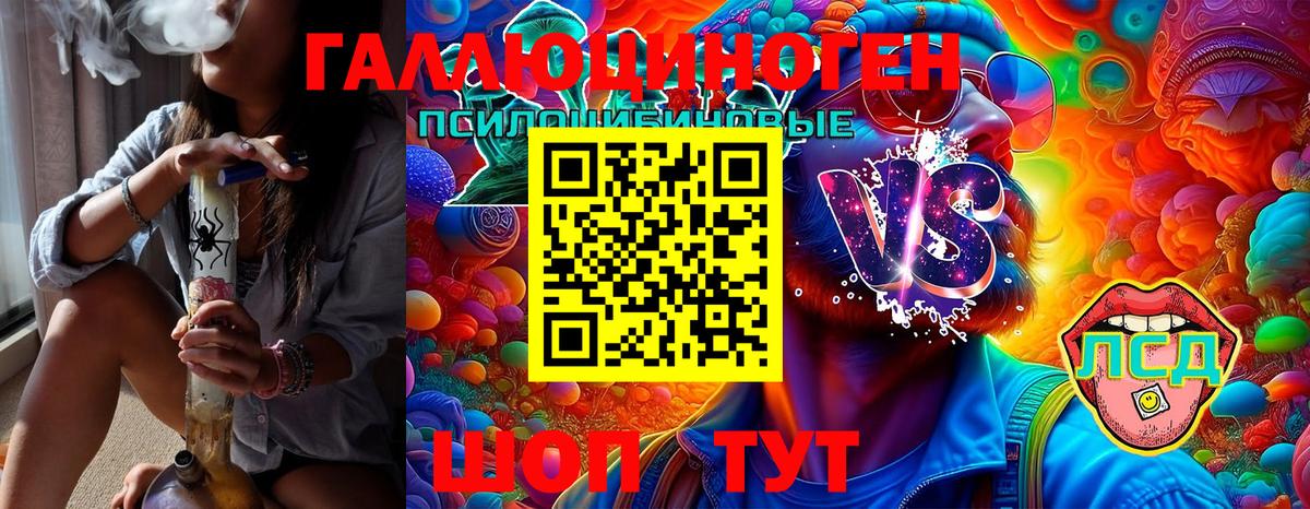 Елизово  Псилоцибиновые грибы Psilocybine cubensis  Вход с VPN 