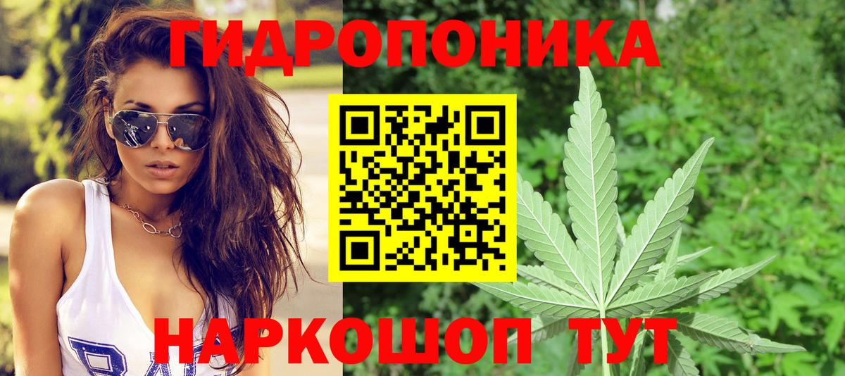 Бошки Шишки OG Kush  Конопля AK-47  Шишки марихуана планчик  Каннабис Amnesia  Елизово  Вход с VPN 